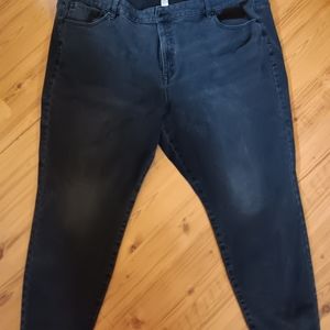 Lane bryant cruves jeans